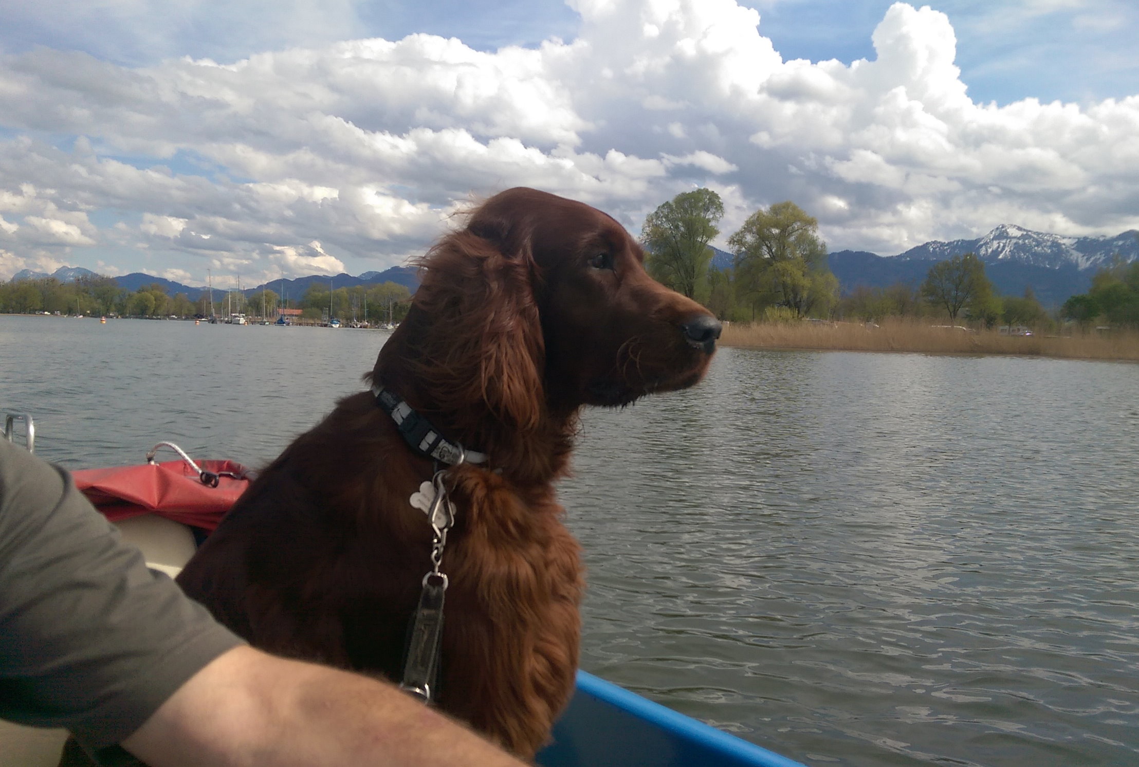 Boot_Chiemsee1