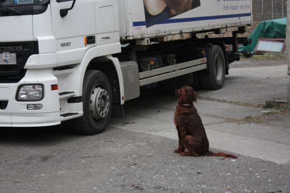 LKW