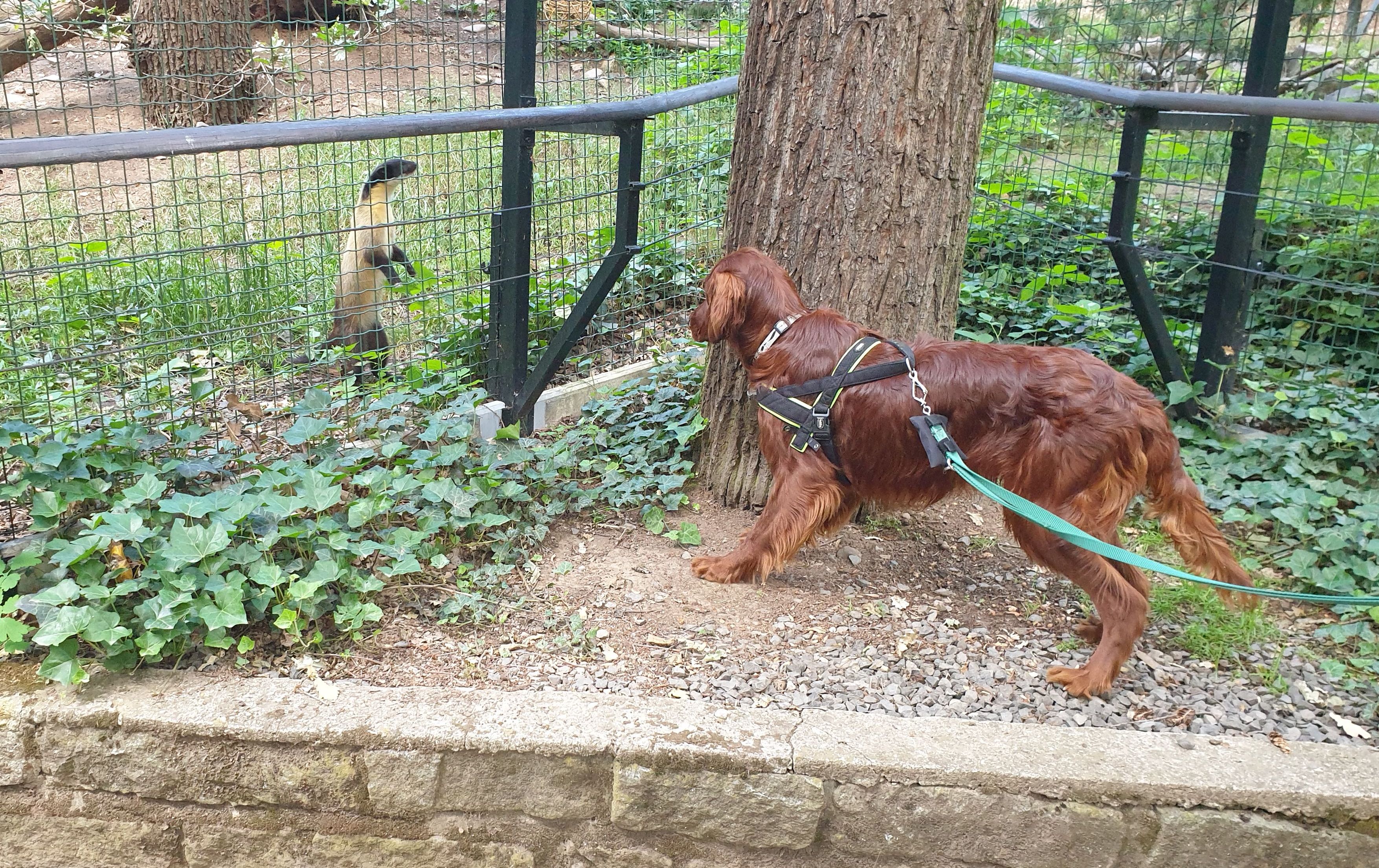 Zoo_Chomutov_1