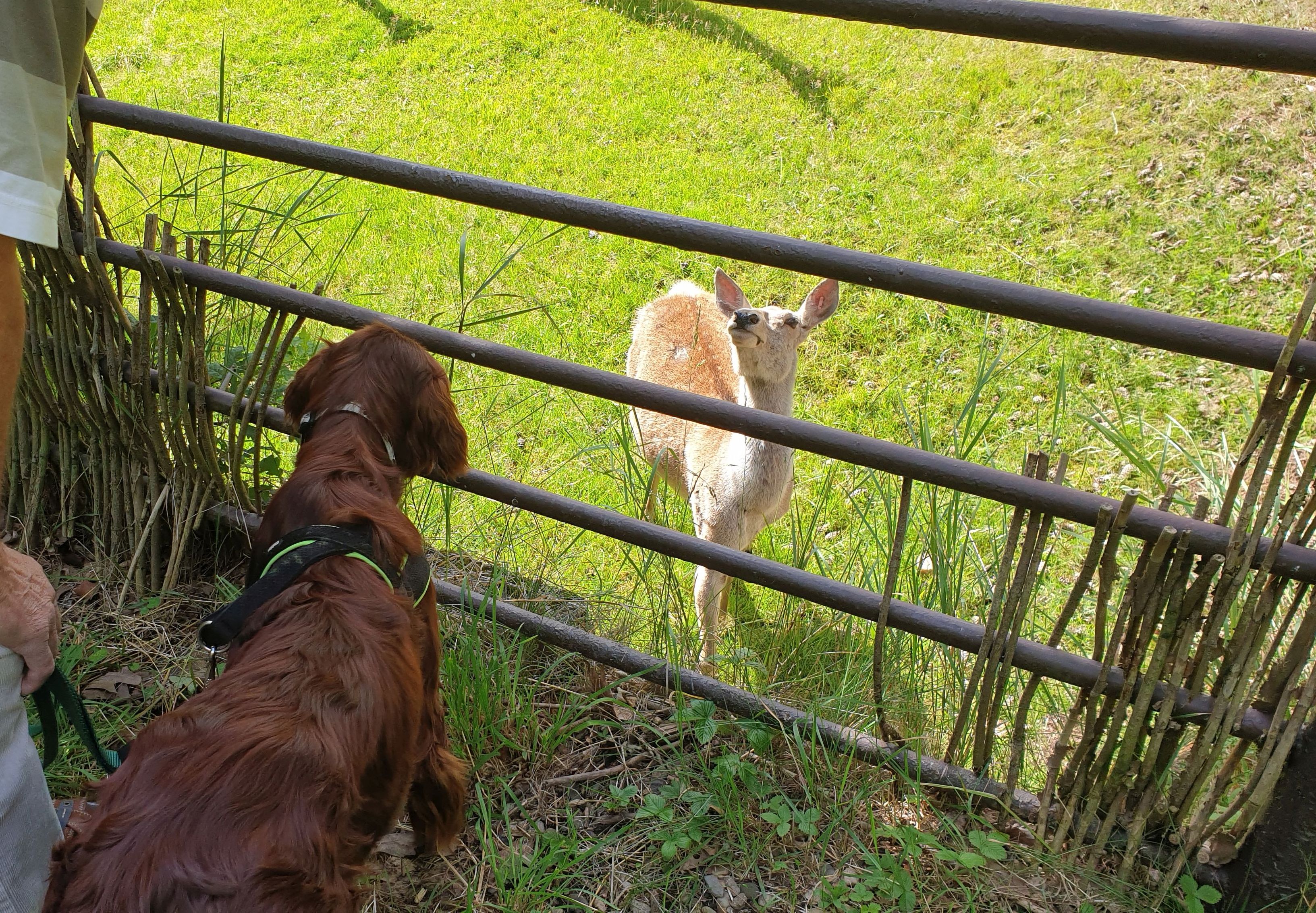 Zoo_Chomutov_4