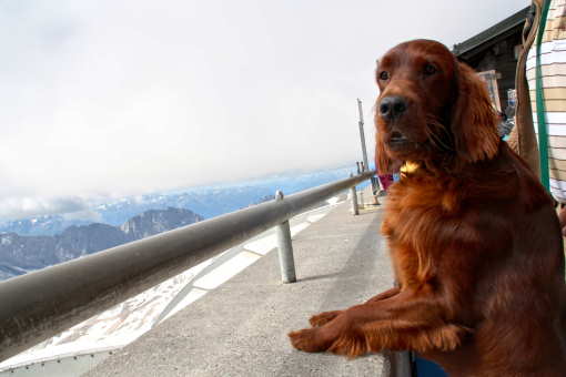 Zugspitz
