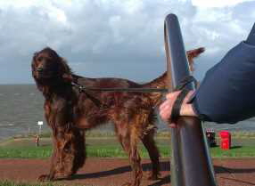 IMAG0637_