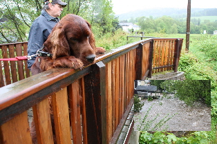 P_Hochwasser