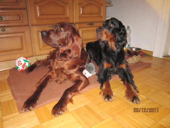 image001