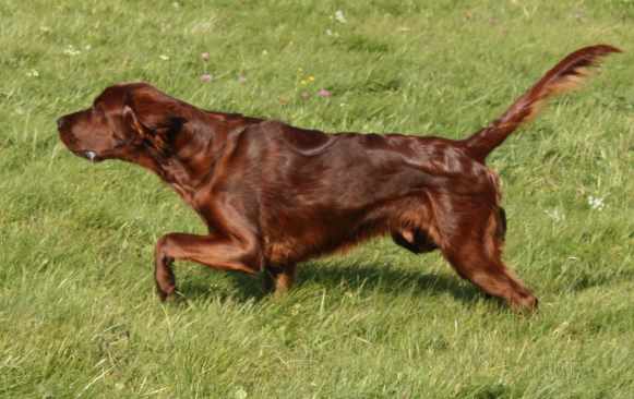 image010